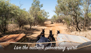 View of bush track from the top of Cobb and Co Stagecoach