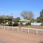 Longreach Tourist Park 19