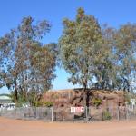 Longreach Tourist Park 28