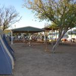 Longreach Tourist Park 20